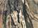 Select color Mossy Oak Country