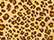 Select color Leopard Triblend